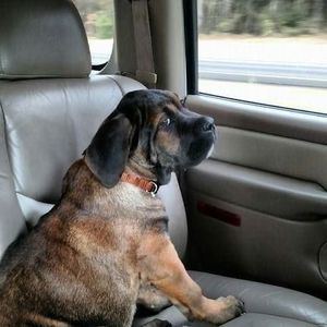 Meet your Posher, Jack